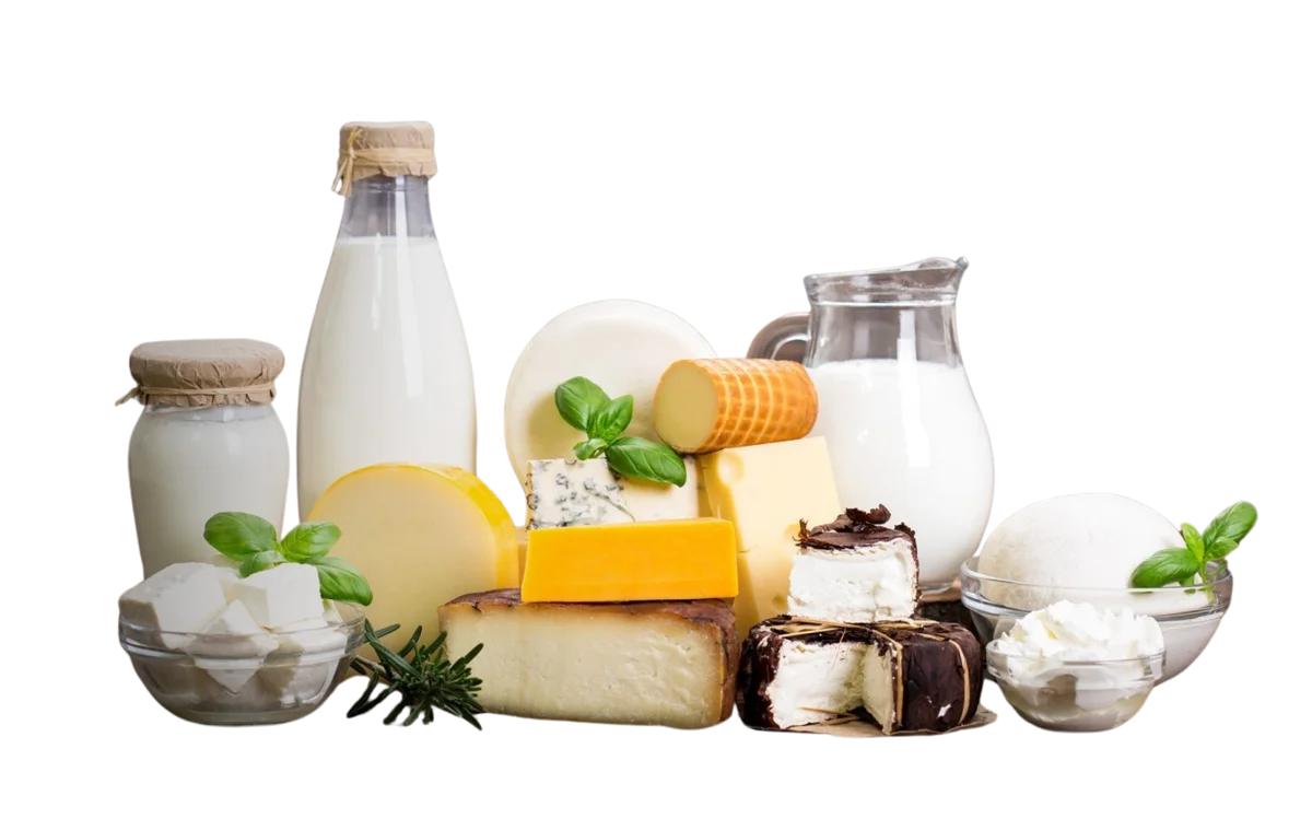 Dairy Farm Products — e-commerce project built by 2xdev
